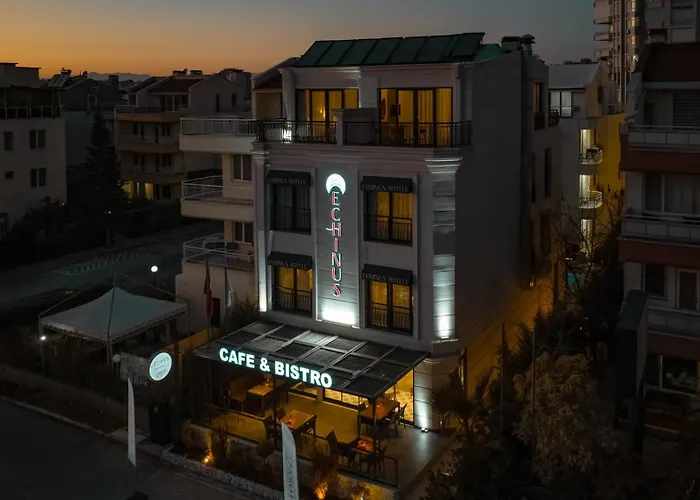 Homestay Echinus Lara Hotel Antalya