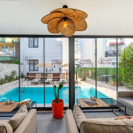 Проживание в семье Echinus Lara *