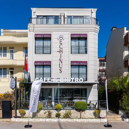 홈스테이 Echinus Lara *